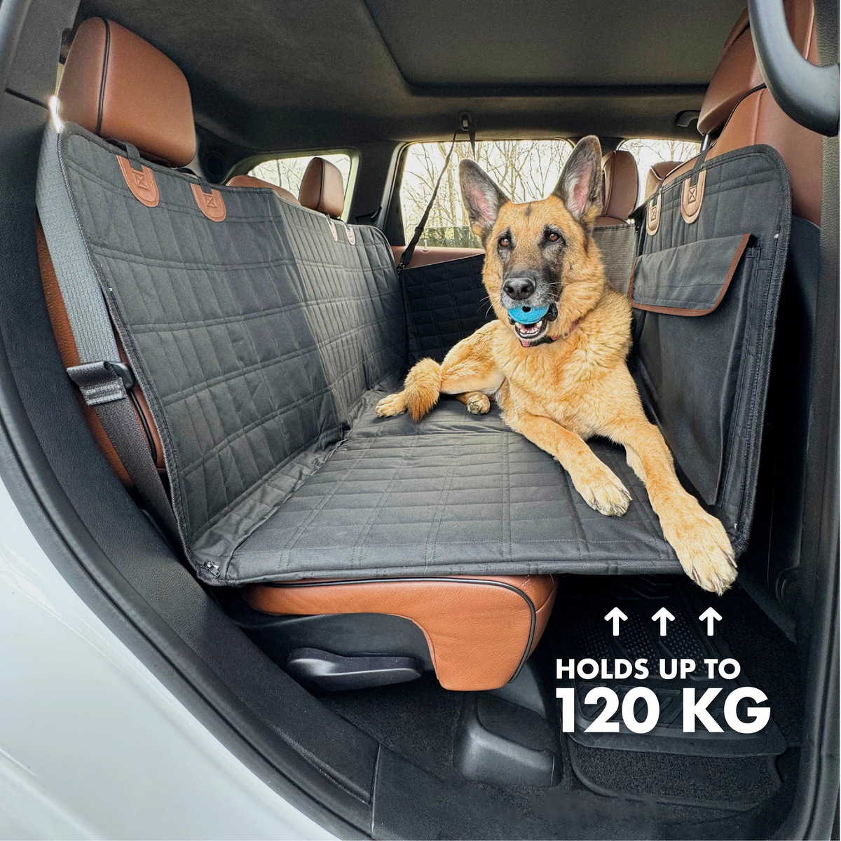 PUPSNUGS™ COMFY CRUISER