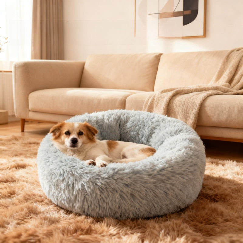Pet dog kennel